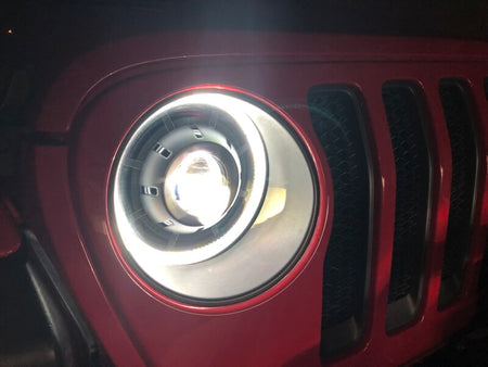 Photo - Close Up